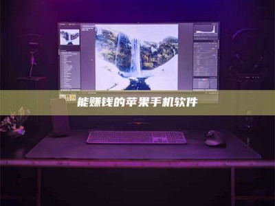 拉萨能赚钱的苹果手机软件